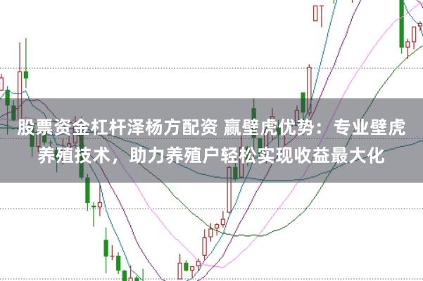 股票资金杠杆泽杨方配资 赢壁虎优势:专业壁虎养殖技术,助力养殖户轻松实现收益最大化