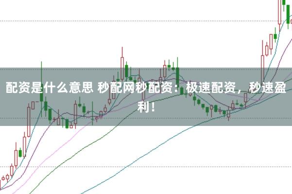 配资是什么意思 秒配网秒配资：极速配资，秒速盈利！