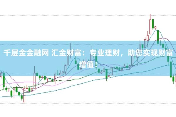 千层金金融网 汇金财富：专业理财，助您实现财富增值！
