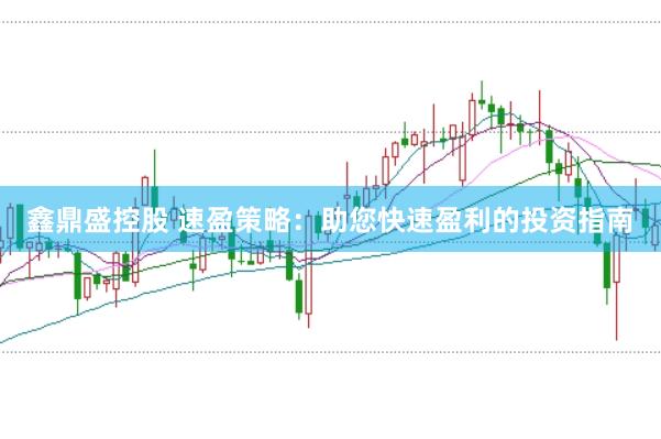 鑫鼎盛控股　 速盈策略：助您快速盈利的投资指南