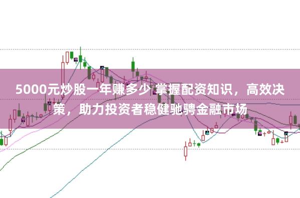 5000元炒股一年赚多少 掌握配资知识,高效决策,助力投资者稳健驰骋金融市场