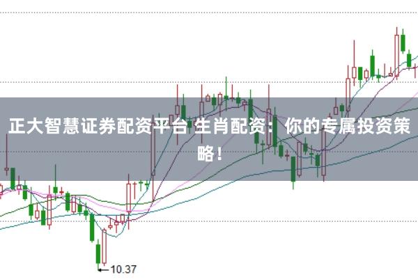 正大智慧证券配资平台 生肖配资：你的专属投资策略！
