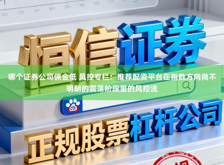 哪个证券公司佣金低 风控专栏：推荐配资平台在指数方向尚不明朗的震荡阶段里的风控流